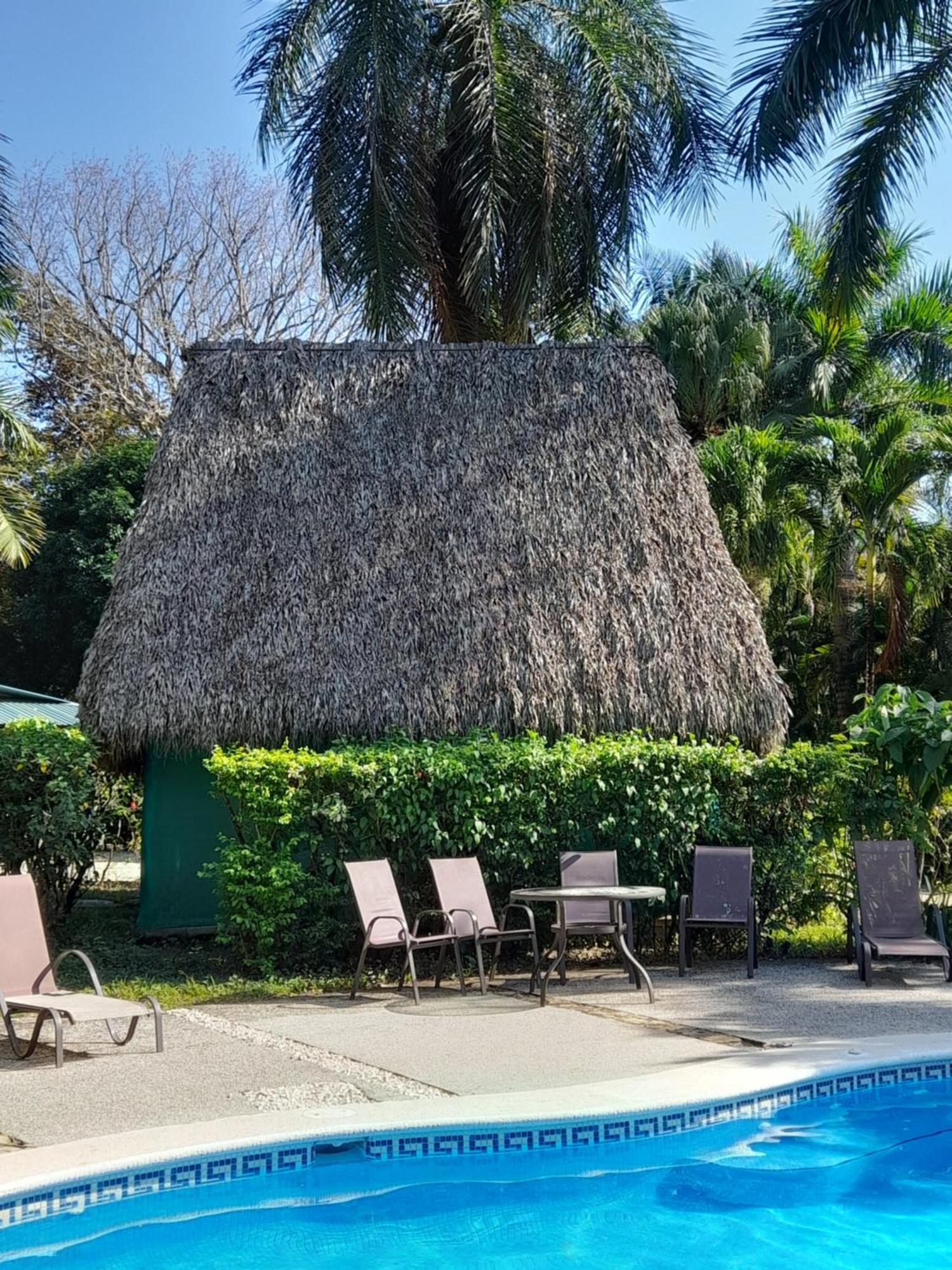 Готель Mal Pais Surf Camp Playa Santa Teresa  Екстер'єр фото