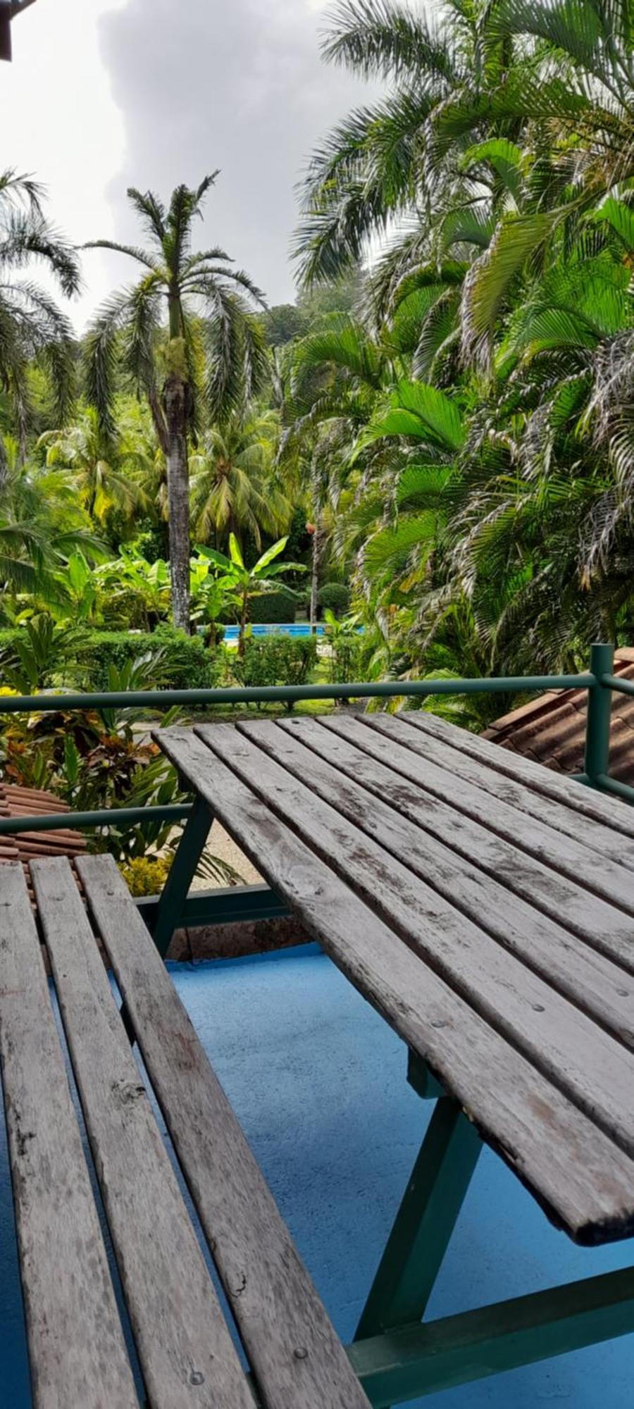 Готель Mal Pais Surf Camp Playa Santa Teresa  Екстер'єр фото