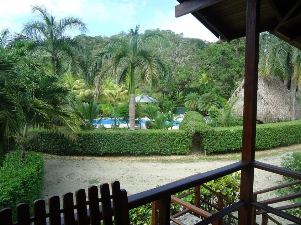 Готель Mal Pais Surf Camp Playa Santa Teresa  Екстер'єр фото